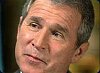 Smug Bush