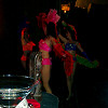 Burlesque beauties Hot Pink Feathers heat up the crowd